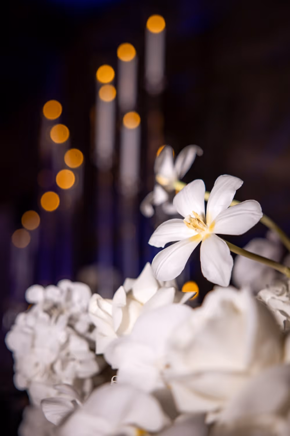 wedding in krakow - planning and organization